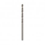 Grąžtas metalui Bosch HSS-G, 3,0mm, 2 vnt. 2608585911