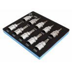 Įpresuotų antgalių komplektas 3/8" TORX su skyle (10-55) 10vnt.