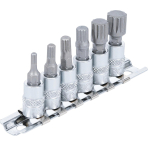 Įpresuotų antgalių rinkinys | 6.3 mm (1/4") | Spline (XZN) M4 - M12 | 6 vnt. (2162)