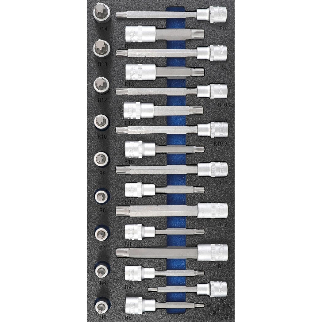 Įrankių dėklas 1/3: Įpresuotų antgalių rinkinys | 12,5 mm (1/2") | Spline (RIBE) | 25 vnt. (4117)