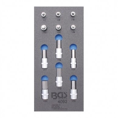 Įrankių spintelė su ratukais BGS-technic Profi Exclusive su 259 įrankiais 14