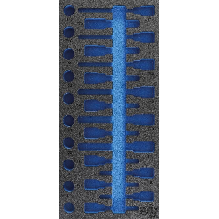 Įrankių dėklas 1/3, tuščias | 4119 pozicijai (4119-1) Įrankių dėklas 1/3, tuščias | 4119 pozicijai (4119-1)