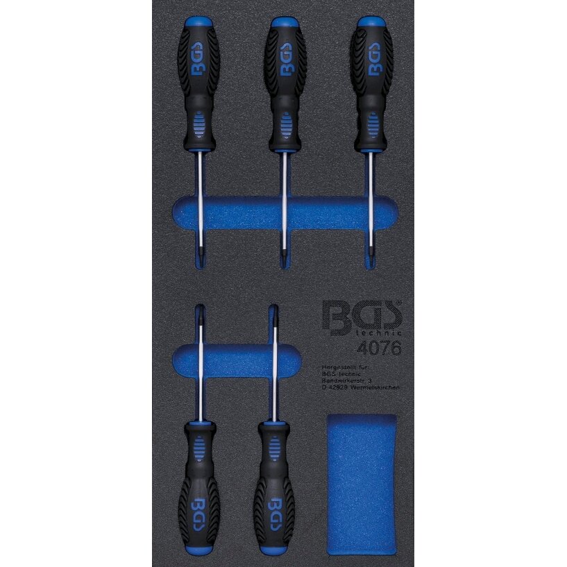 Įrankių dėklas 1/3: T-Star atsuktuvai (Torx) | 5 vnt. (4076) Įrankių dėklas 1/3: T-Star atsuktuvai (Torx) | 5 vnt. (4076)