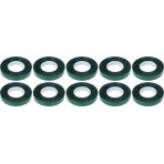 Juosta sodo augalų rišimo įrankiui |  11 mm | 30 m | 10 rulonų (YT-87031)