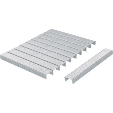 Kabės 53 tipo „RICHMANN" 6 mm, 1000 vnt. 1 Kabės 53 tipo „RICHMANN" 6 mm, 1000 vnt. 1