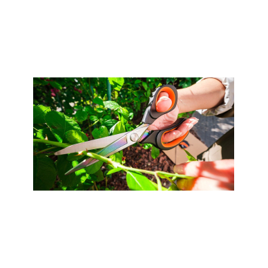 Kaltos žirklės, titano apdaila 200mm 2 Kaltos žirklės, titano apdaila 200mm 2