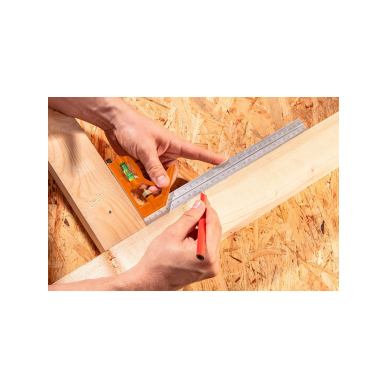 Kampainis 30cm 1 Kampainis 30cm 1