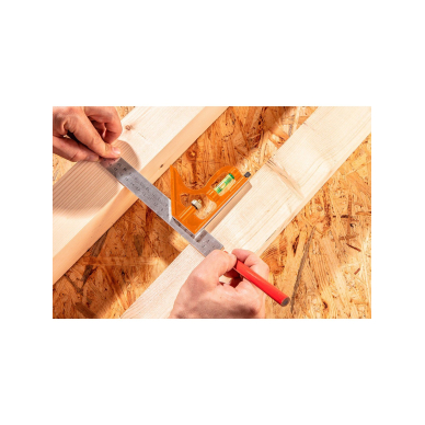 Kampainis 30cm 3 Kampainis 30cm 3