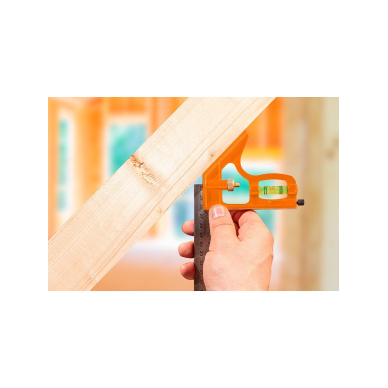 Kampainis 30cm 6 Kampainis 30cm 6