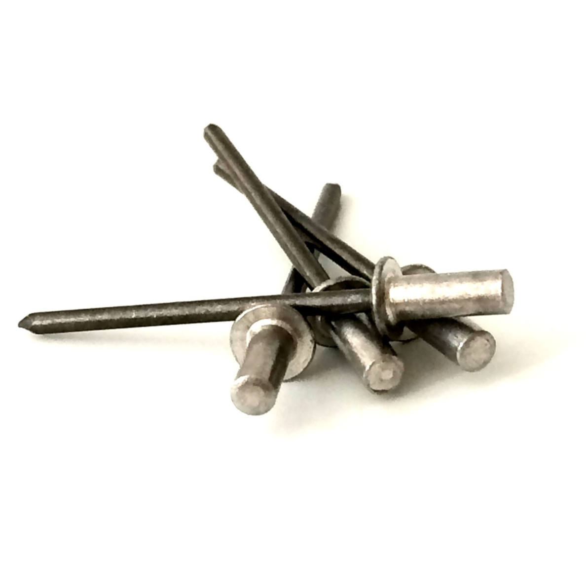 Kniedės nelaidžios vandeniu 4 x 16 mm,50 vnt. 1 Kniedės nelaidžios vandeniu 4 x 16 mm,50 vnt. 1