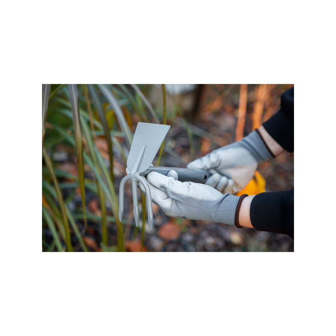 Mažas dvipusis motiejukas 1