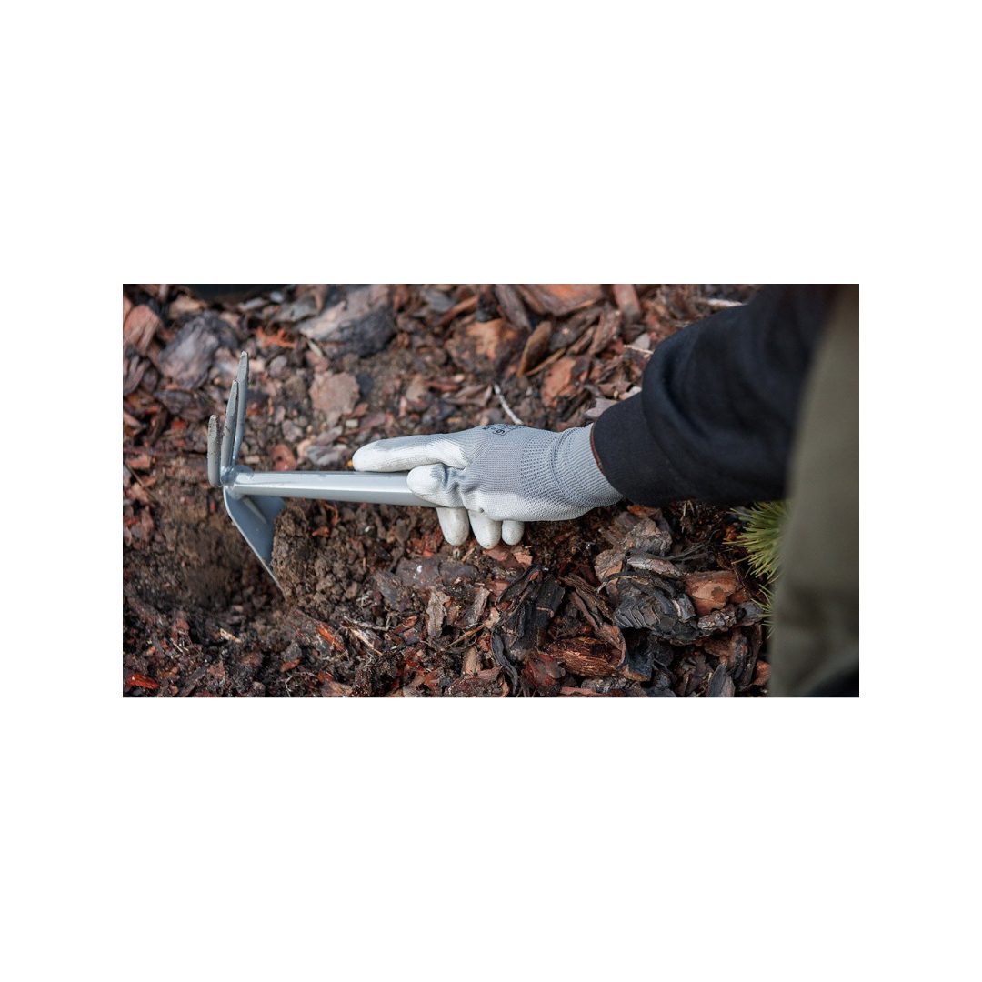 Mažas dvipusis motiejukas 2 Mažas dvipusis motiejukas 2