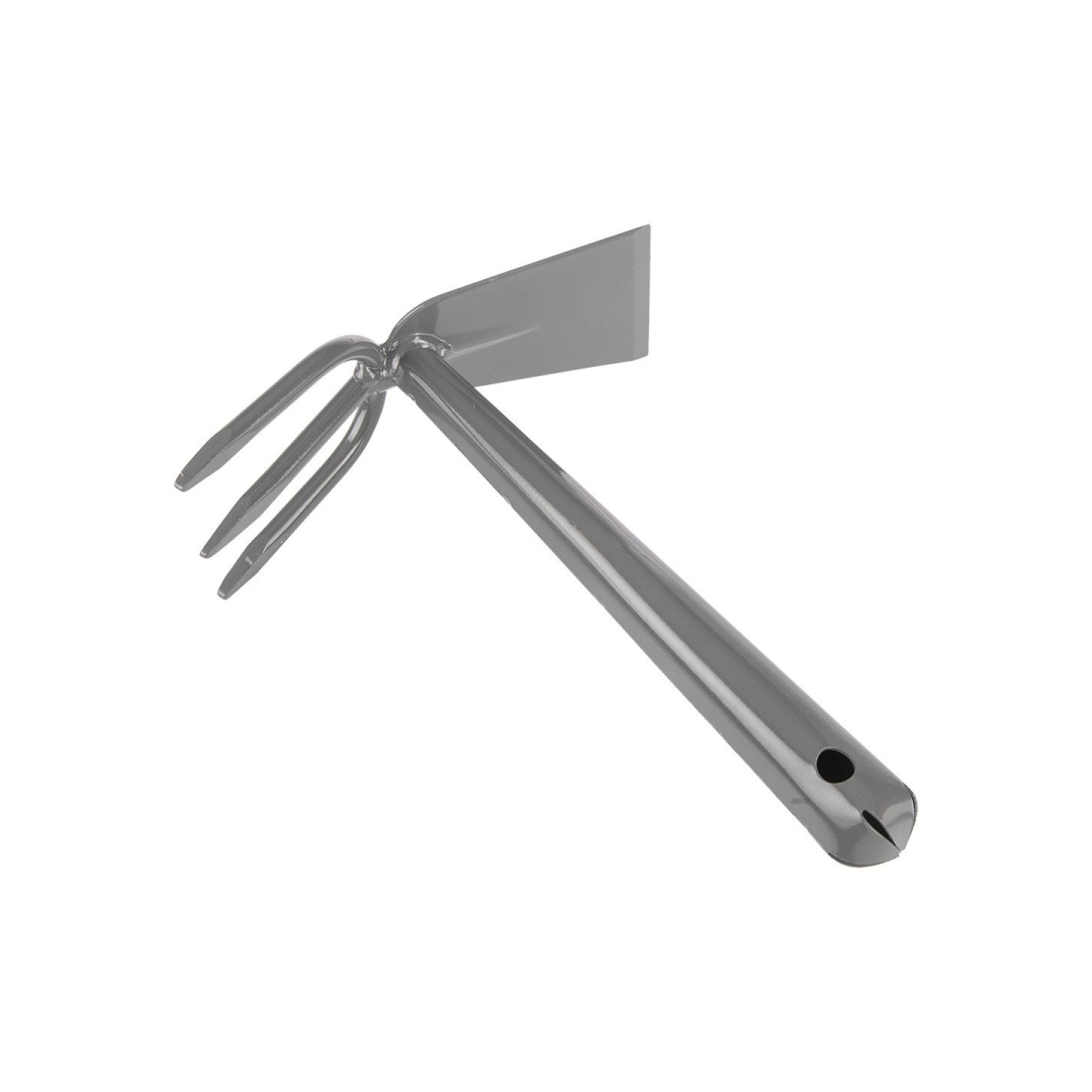 Mažas dvipusis motiejukas 5 Mažas dvipusis motiejukas 5