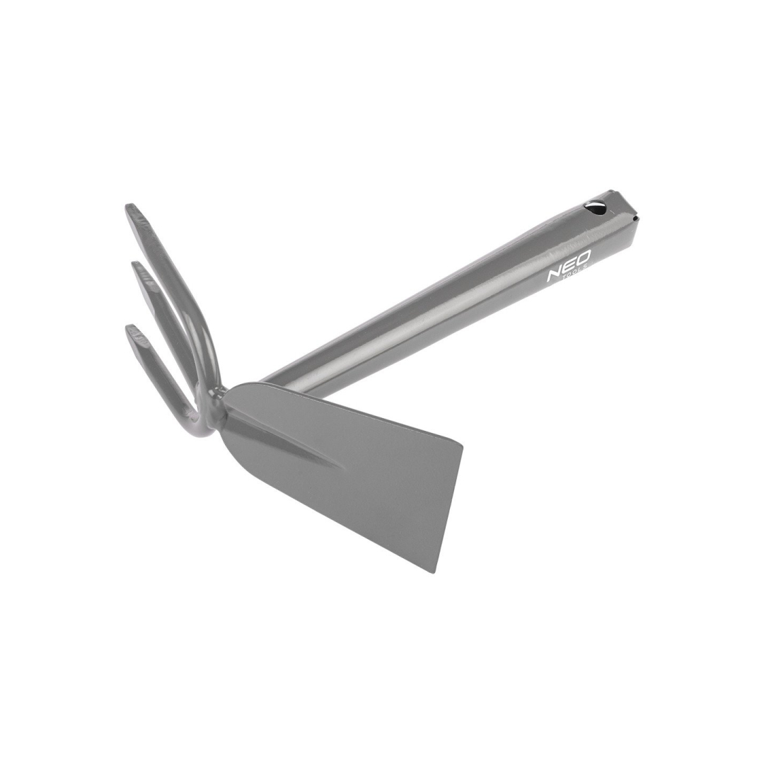 Mažas dvipusis motiejukas Mažas dvipusis motiejukas