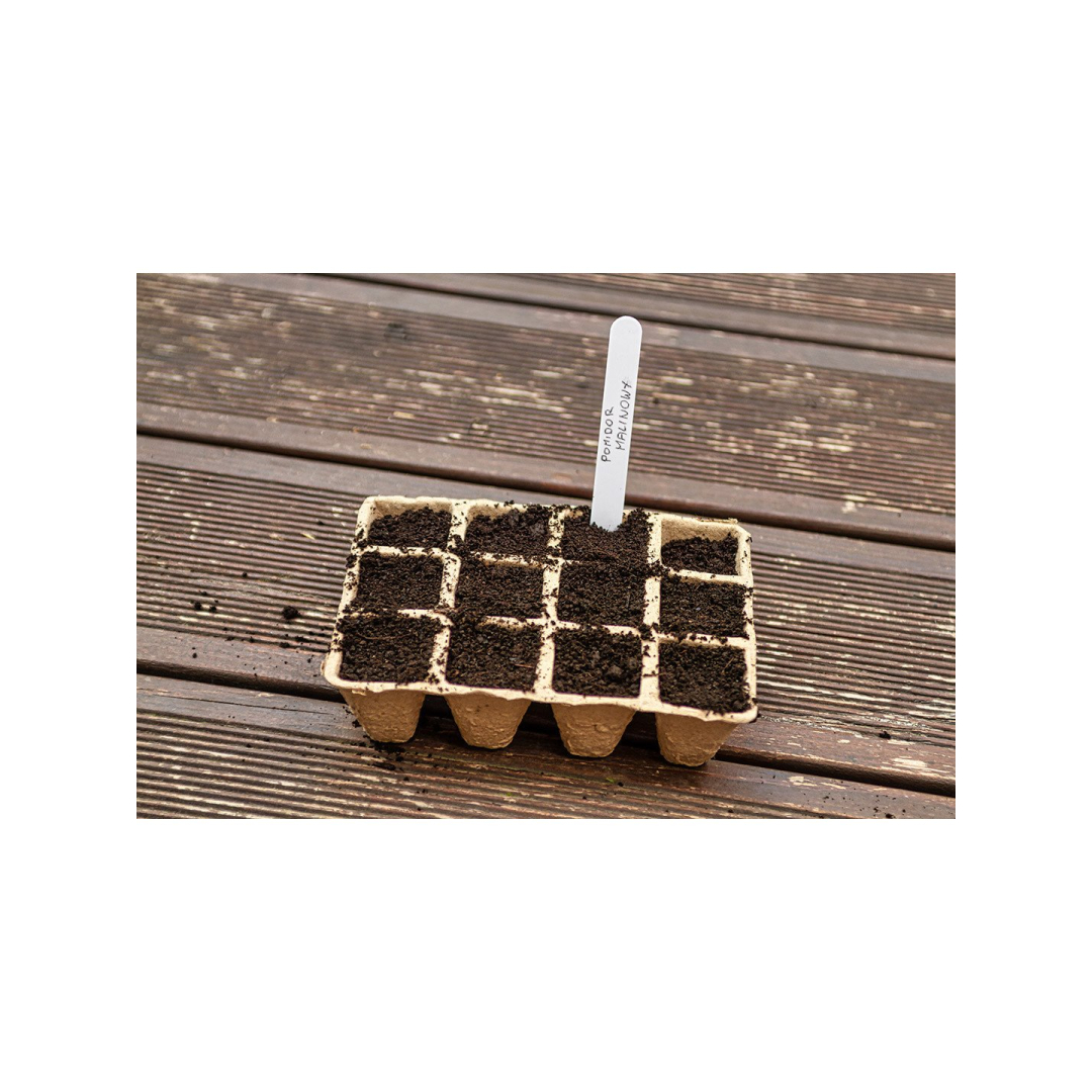 Maži durpių sodintuvai (3x4 skylės) 16 x 12 x 4,5 cm, 5 vnt. 4 Maži durpių sodintuvai (3x4 skylės) 16 x 12 x 4,5 cm, 5 vnt. 4