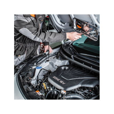 Magnetinis indas 245-145mm 3 Magnetinis indas 245-145mm 3