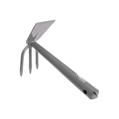 Mažas dvipusis motiejukas 4