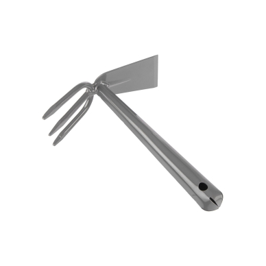 Mažas dvipusis motiejukas 5 Mažas dvipusis motiejukas 5