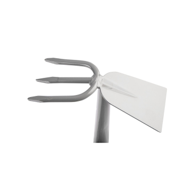 Mažas dvipusis motiejukas 7 Mažas dvipusis motiejukas 7