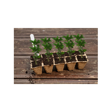 Maži durpių sodintuvai (3x4 skylės) 16 x 12 x 4,5 cm, 5 vnt. 2 Maži durpių sodintuvai (3x4 skylės) 16 x 12 x 4,5 cm, 5 vnt. 2