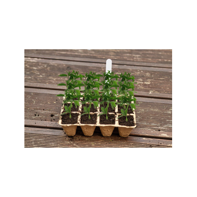 Maži durpių sodintuvai (3x4 skylės) 16 x 12 x 4,5 cm, 5 vnt. 3 Maži durpių sodintuvai (3x4 skylės) 16 x 12 x 4,5 cm, 5 vnt. 3