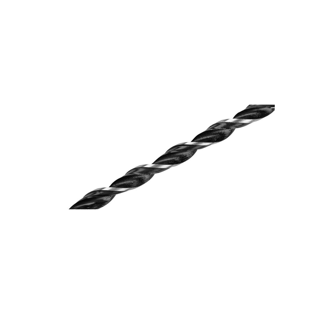 Medienos grąžtas, prailgintas 10 x 250 mm 4 Medienos grąžtas, prailgintas 10 x 250 mm 4