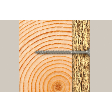 Medsraigčių rinkinys PROFI-BOX PZ, 220vnt. 5 Medsraigčių rinkinys PROFI-BOX PZ, 220vnt. 5