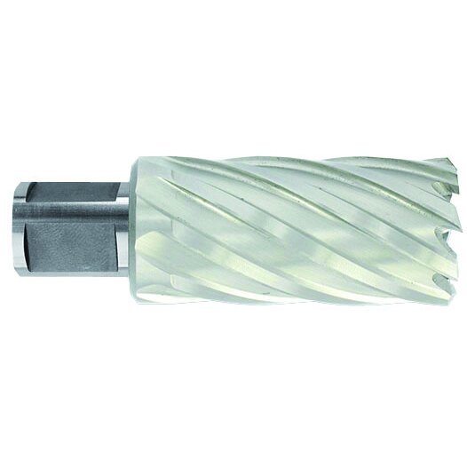 Metalo gręžimo freza Ø15X80X50 мм HSS, tvirtinimas Ø19 мм, Weldon Metalo gręžimo freza Ø15X80X50 мм HSS, tvirtinimas Ø19 мм, Weldon
