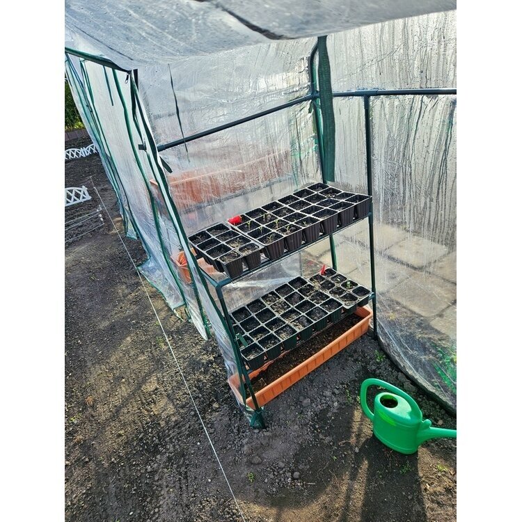 Mini šiltnamis | visų rūšių augalams auginti (90030) 4 Mini šiltnamis | visų rūšių augalams auginti (90030) 4