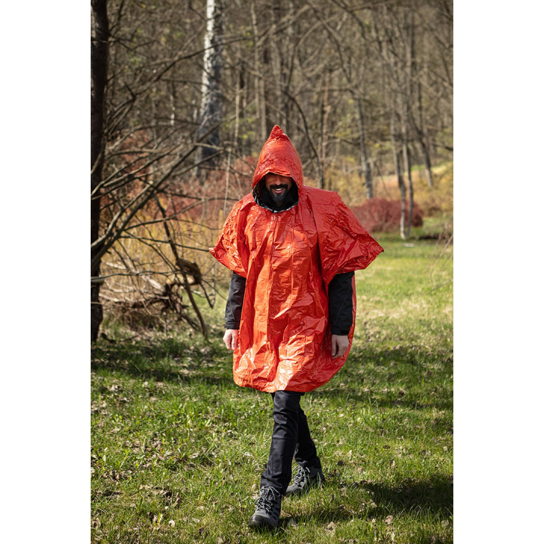 NRC terminis pončas 4