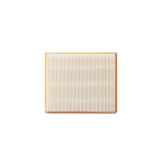Oro filtras siurbliui EGO Power+ AVF0900