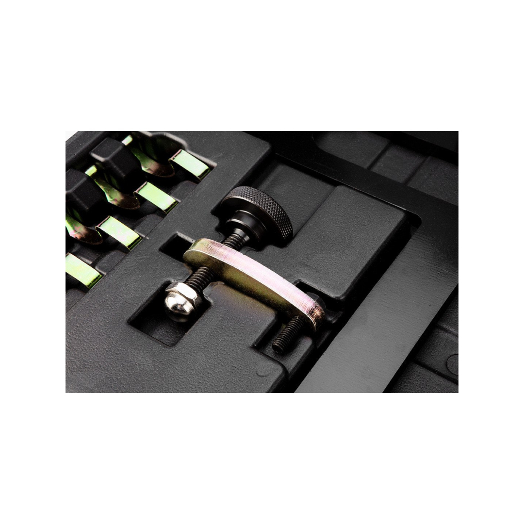 Paskirstymo veleno fiksavimo komplektas - BMW benzininiam varikliui 4