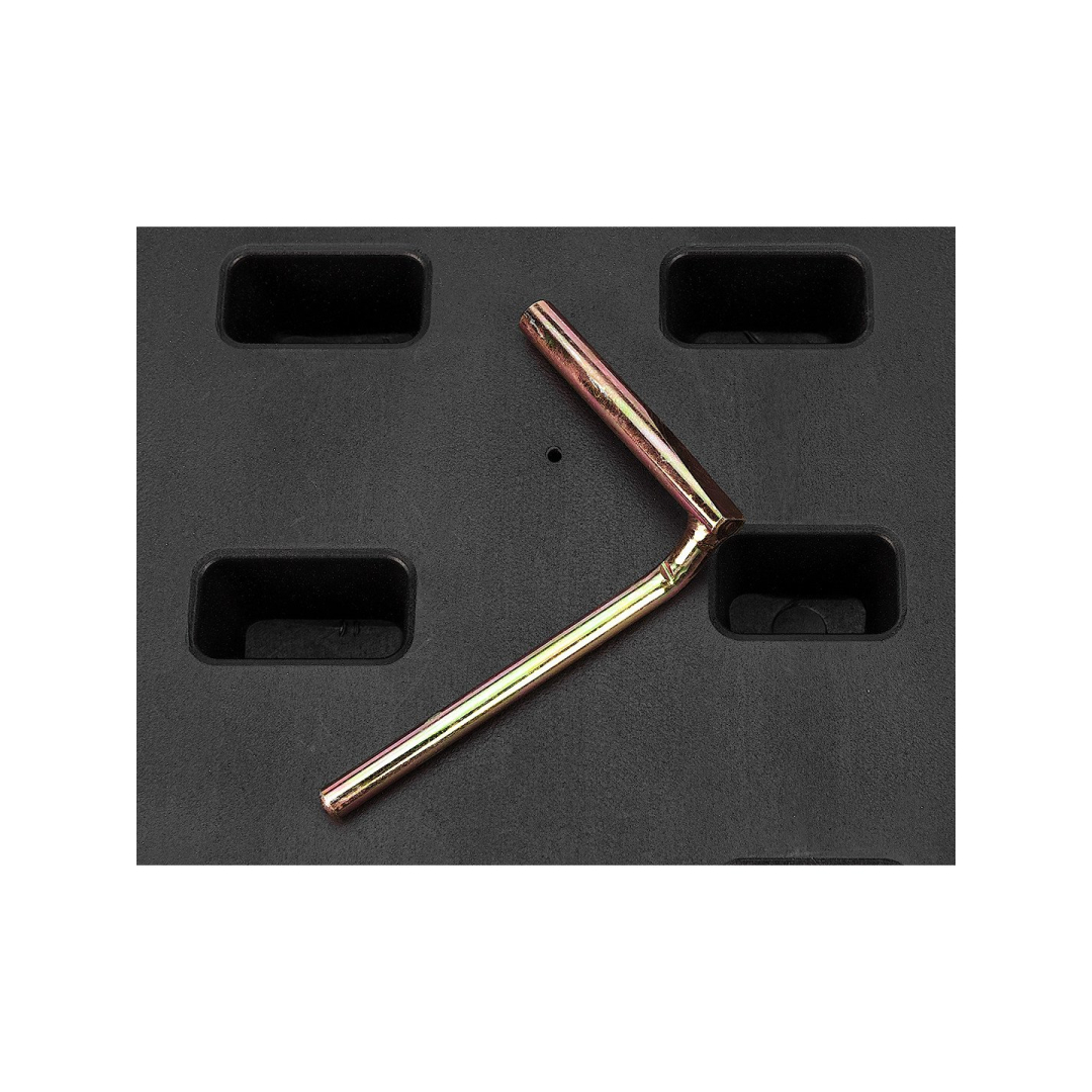 Paskirstymo veleno fiksavimo komplektas - BMW benzininiam varikliui 4