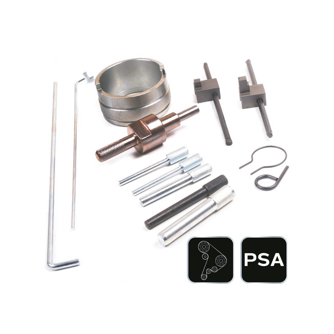 Paskirstymo veleno fiksavimo komplektas - PSA benzininiam varikliui 7