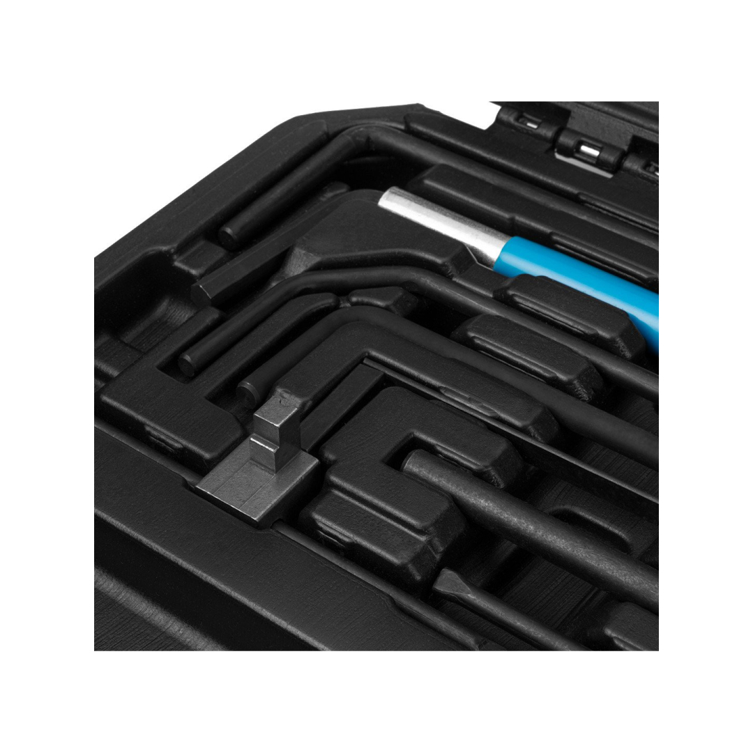 Paskirstymo veleno fiksavimo komplektas - PSA gasoline and disel engine 4