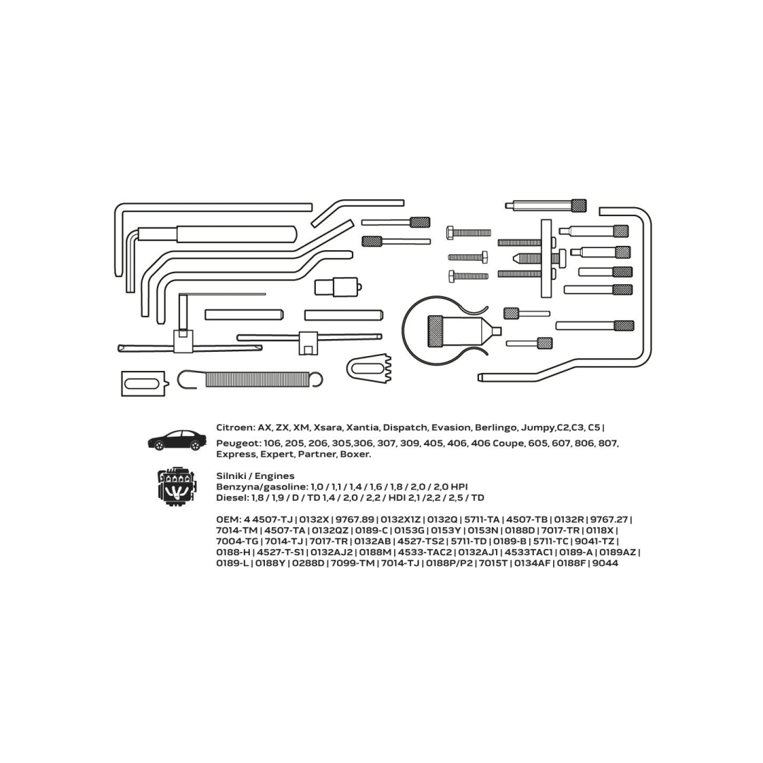 Paskirstymo veleno fiksavimo komplektas - PSA gasoline and disel engine 7