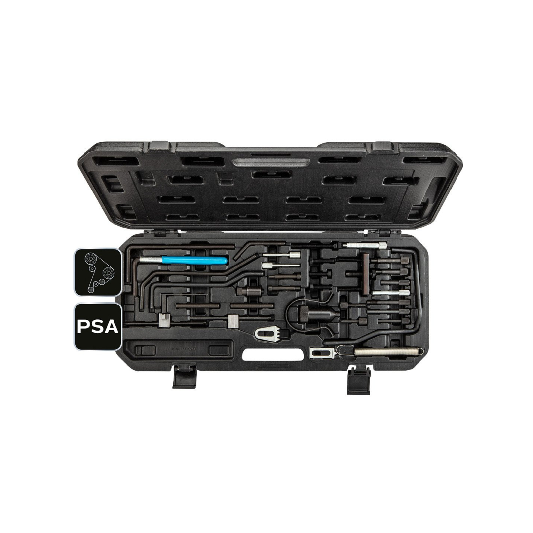 Paskirstymo veleno fiksavimo komplektas - PSA gasoline and disel engine 8