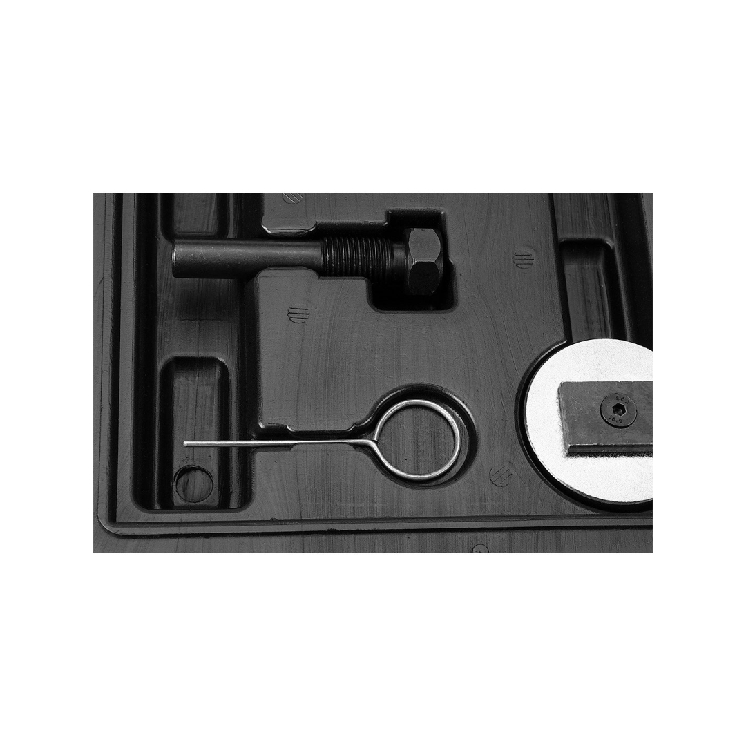 Paskirstymo veleno fiksavimo komplektas - VAG benzininiam varikliui 6