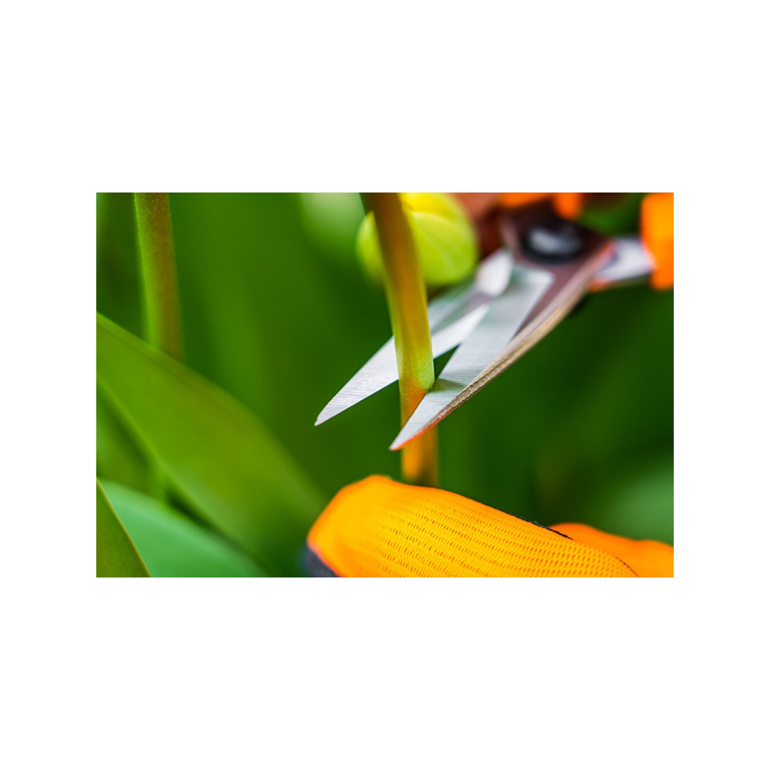 Patogios sodo žirklės 185 mm 8