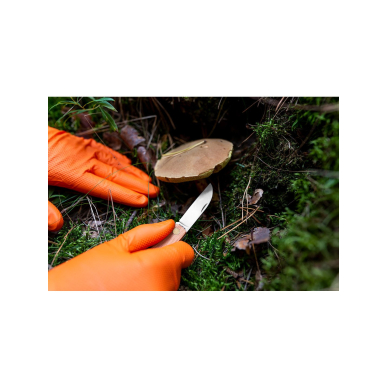 Perforuotos nitrilo pirštinės, oranžinės, 50 vienetų, M dydis 5 Perforuotos nitrilo pirštinės, oranžinės, 50 vienetų, M dydis 5