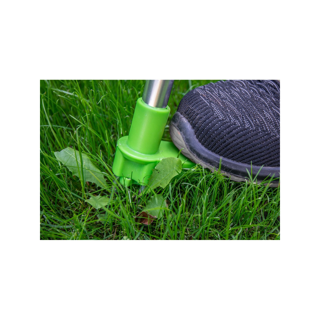 Piktžolių naikiklis 3