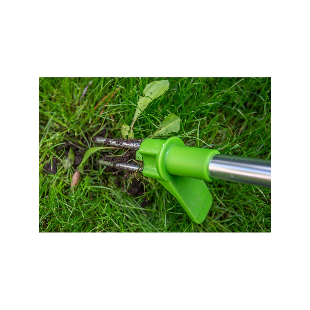 Piktžolių naikiklis 4