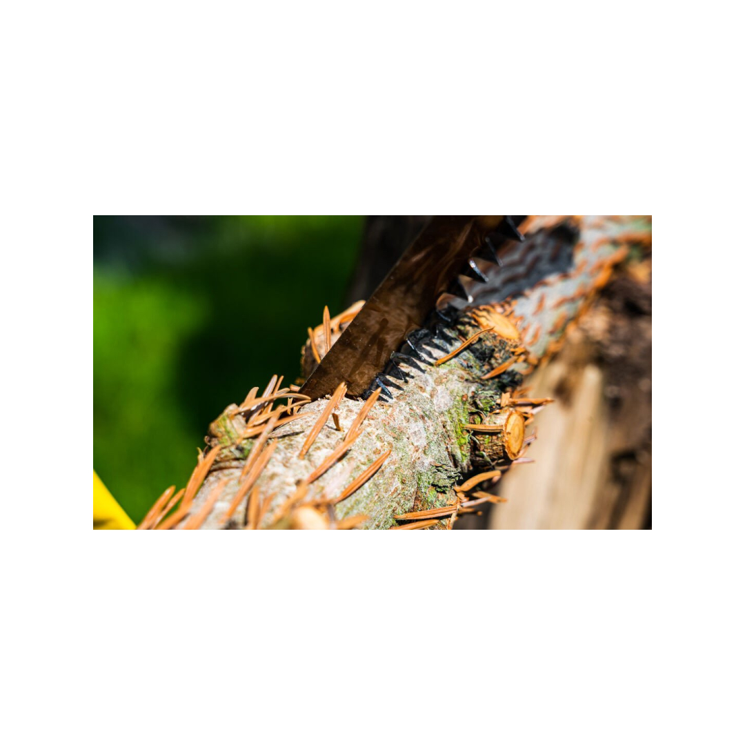 Pjūklas rėminis 300 mm [15x30mm], 2 ašmenys 2