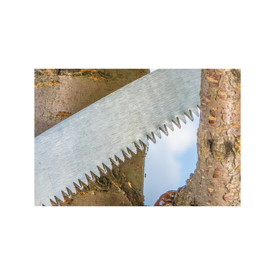 Pjūklas sodininko 4