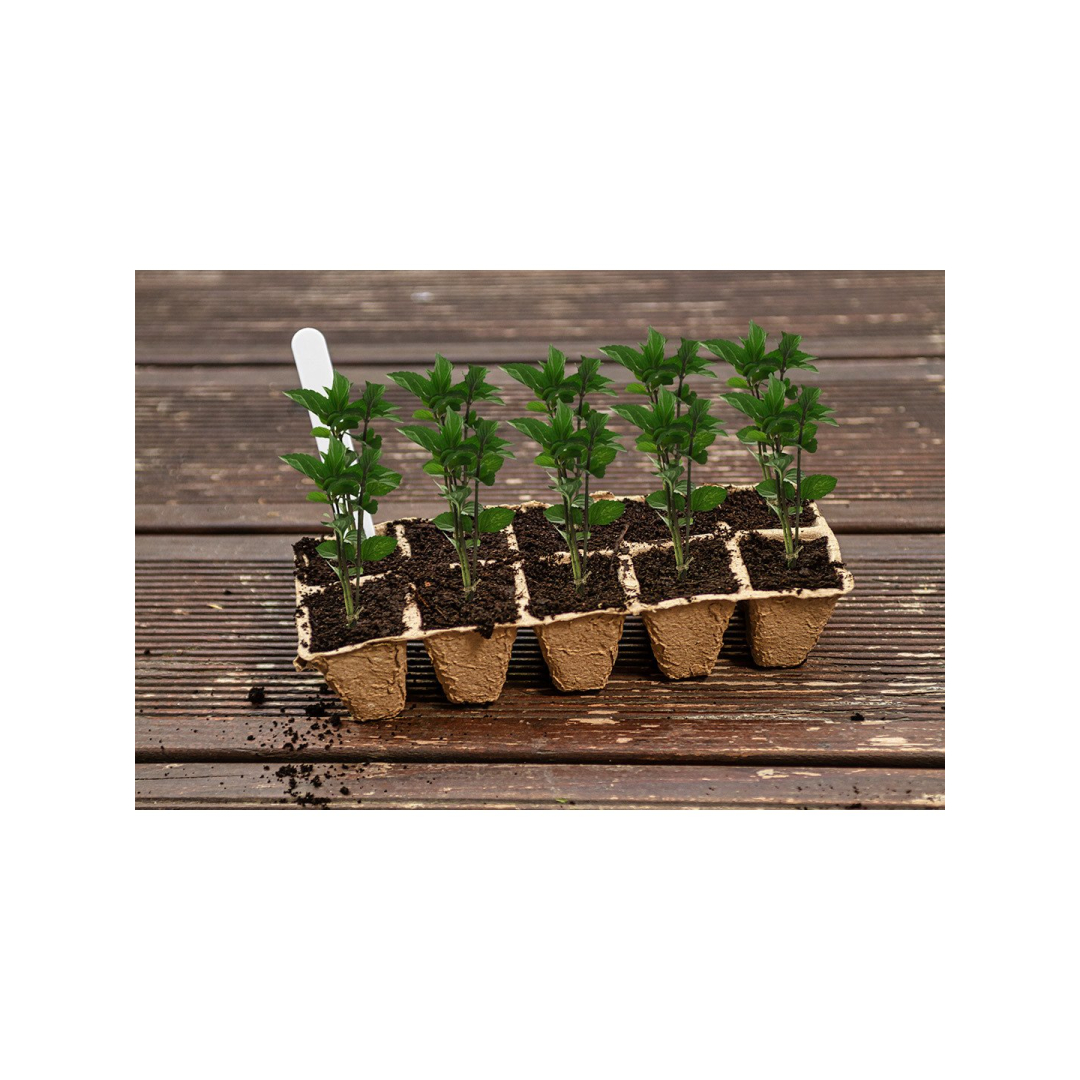 Plyšimo rinkinys 88 elementai 6 Plyšimo rinkinys 88 elementai 6