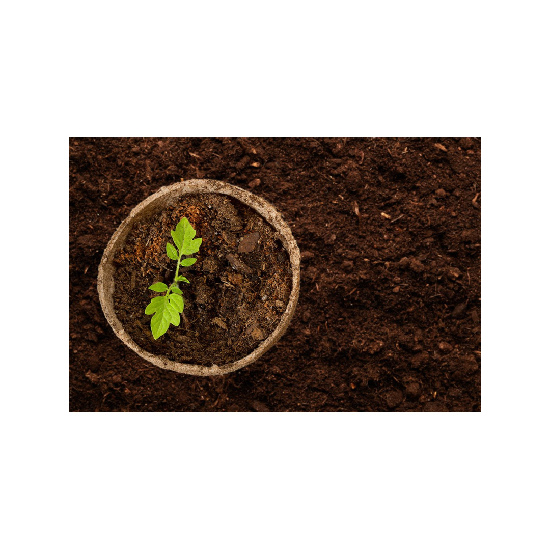 Plyšimo rinkinys 88 elementai 8 Plyšimo rinkinys 88 elementai 8