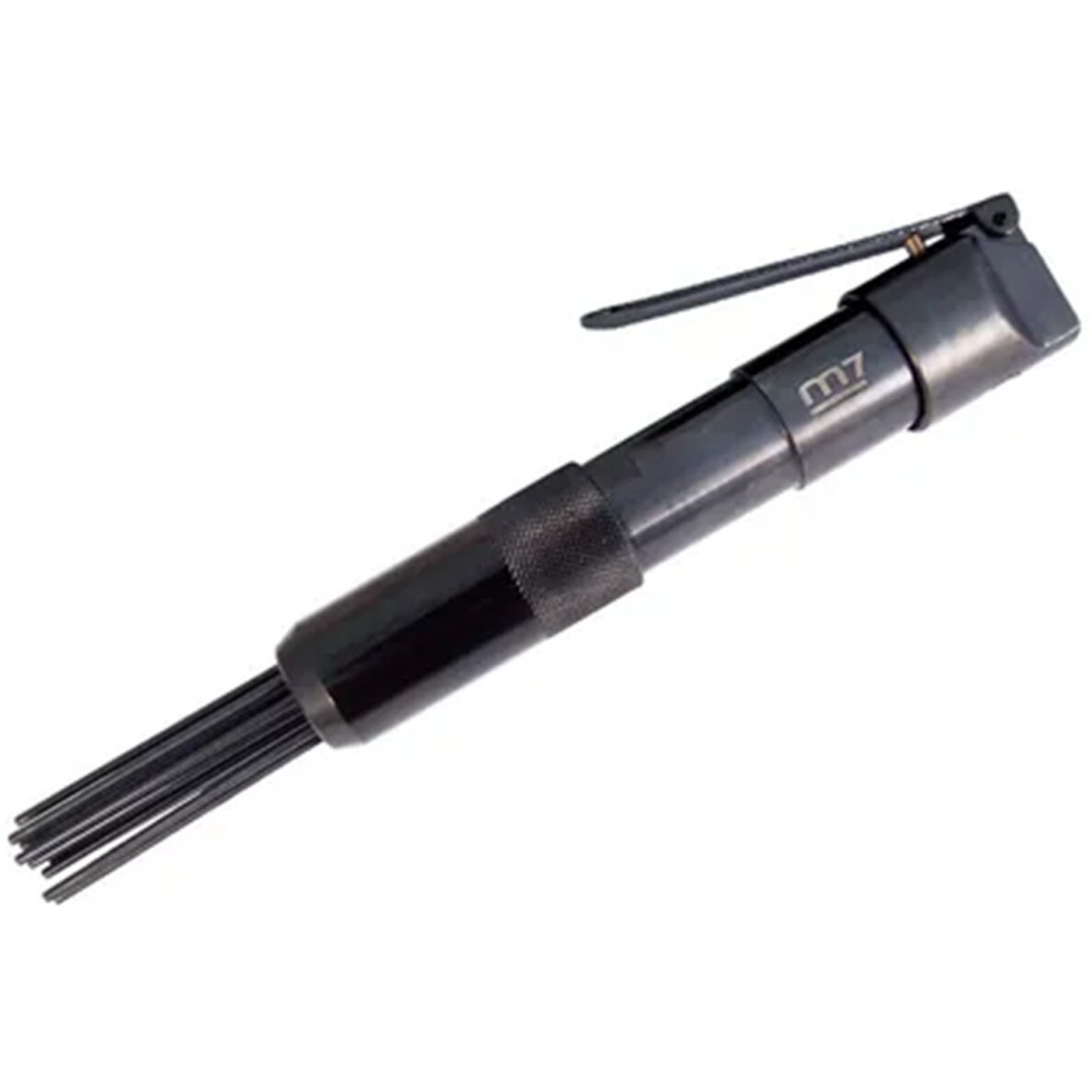 Pneum. adatinis plaktukas Pneum. adatinis plaktukas