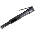 Pneum. adatinis plaktukas