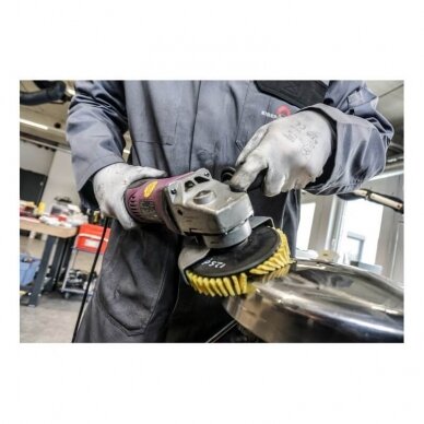 Poliravimo diskų rinkinys GERD Berry+Sun 125x22,2mm 2 Poliravimo diskų rinkinys GERD Berry+Sun 125x22,2mm 2