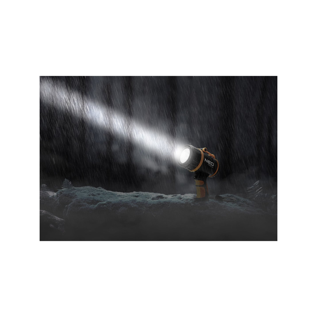 Prožektorius 1000lm 2